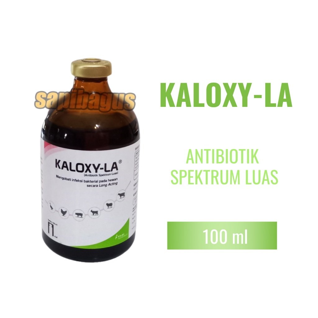 Image kaloxy-la.jpg